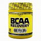 STEEL POWER BCAA Recovery 250 г.