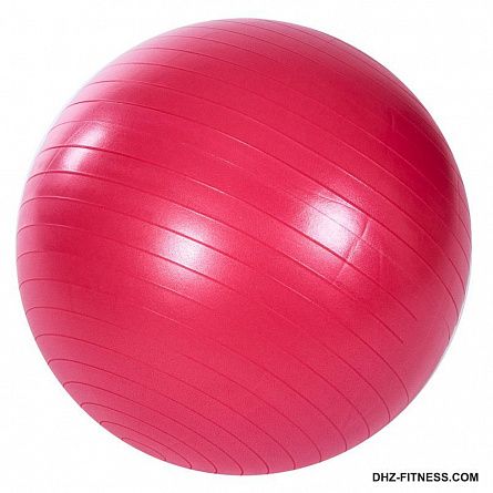 PRO-FIT Мяч гимнастический Anti-Burst (250 кг) Ф55 см