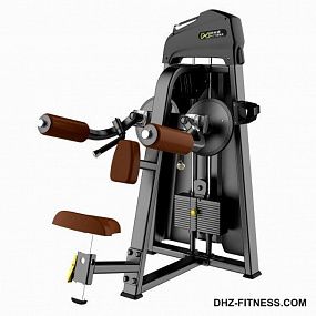 DHZ FITNESS EVOST E1005 Дельтовидные разводка. Стек 56 кг