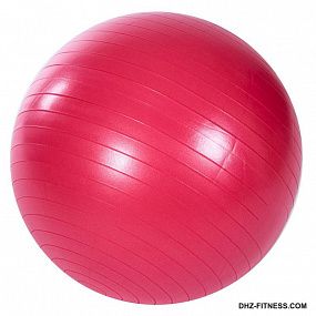 PROFI-FIT Мяч гимнастический Anti-Burst (250 кг) Ф55 см PROFI-FIT Мяч гимнастический Anti-Burst (250 кг) Ф55 см