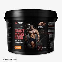 фото ТРИАВ Giant Mass 4000 80% Whey Concentrate + Glutamine 4000 г