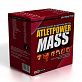 ATLET POWER Mass 3000 г