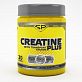 STEEL POWER Creatine Plus 300 г.